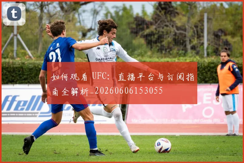 如何观看 UFC:直播平台与订阅指南全解析_20260606153055