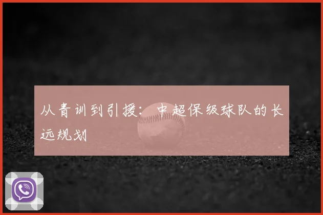 从青训到引援:中超保级球队的长远规划